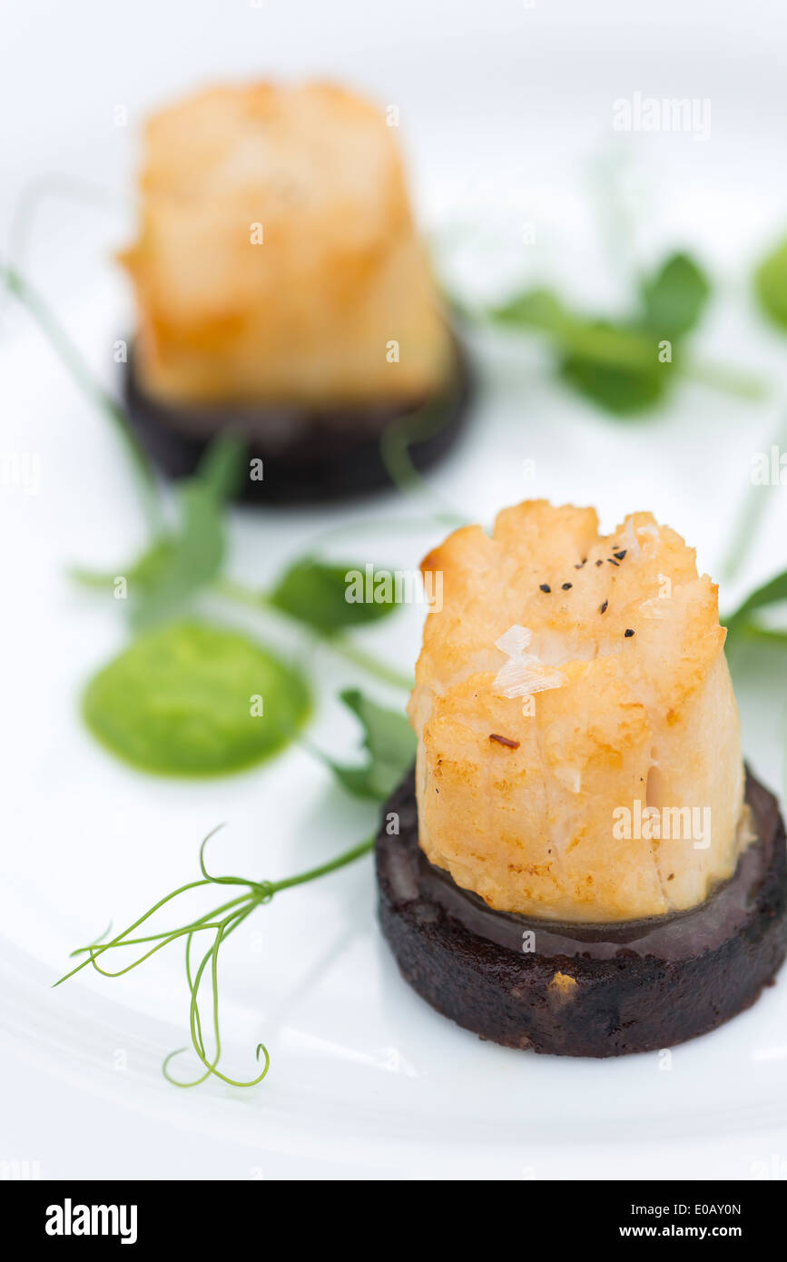 Pétoncles poêlés sur salade de boudin noir et les agneaux. Banque D'Images