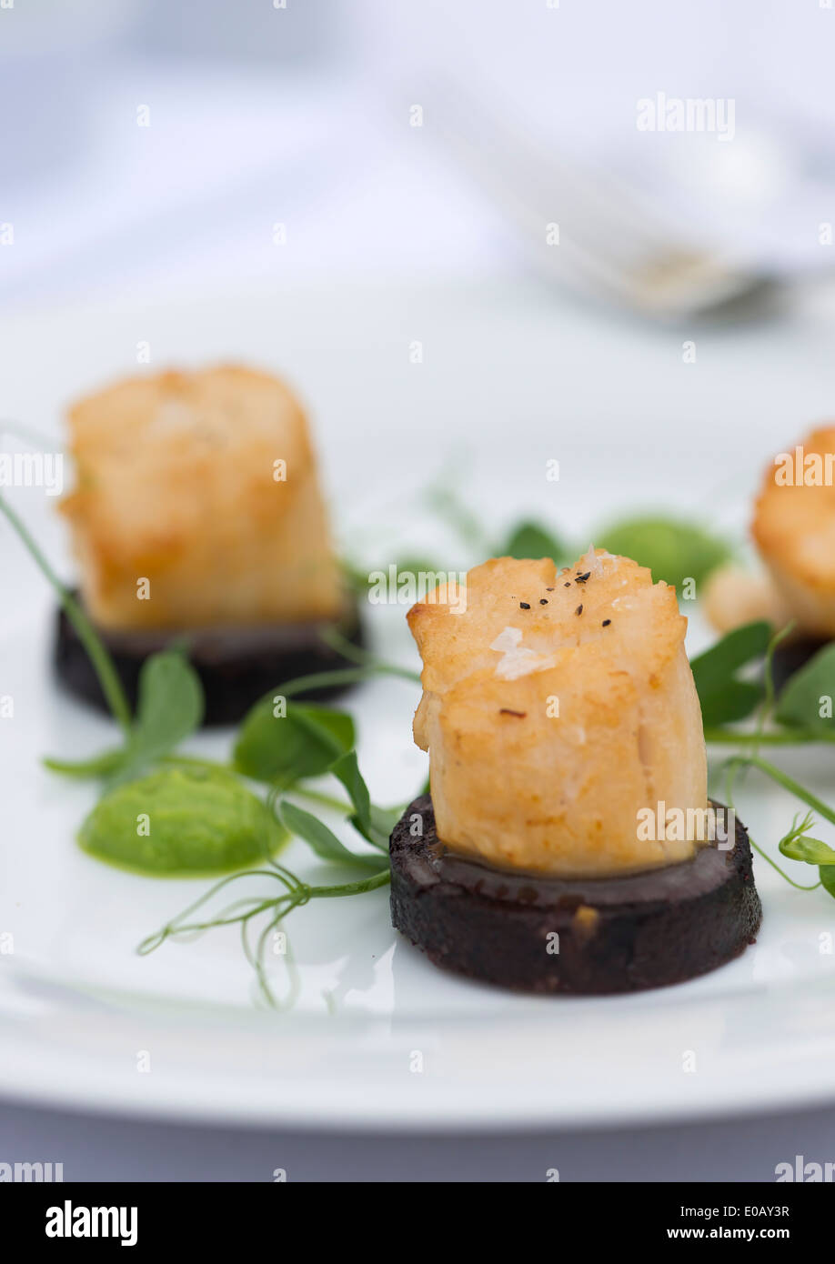 Pétoncles poêlés sur salade de boudin noir et les agneaux. Banque D'Images