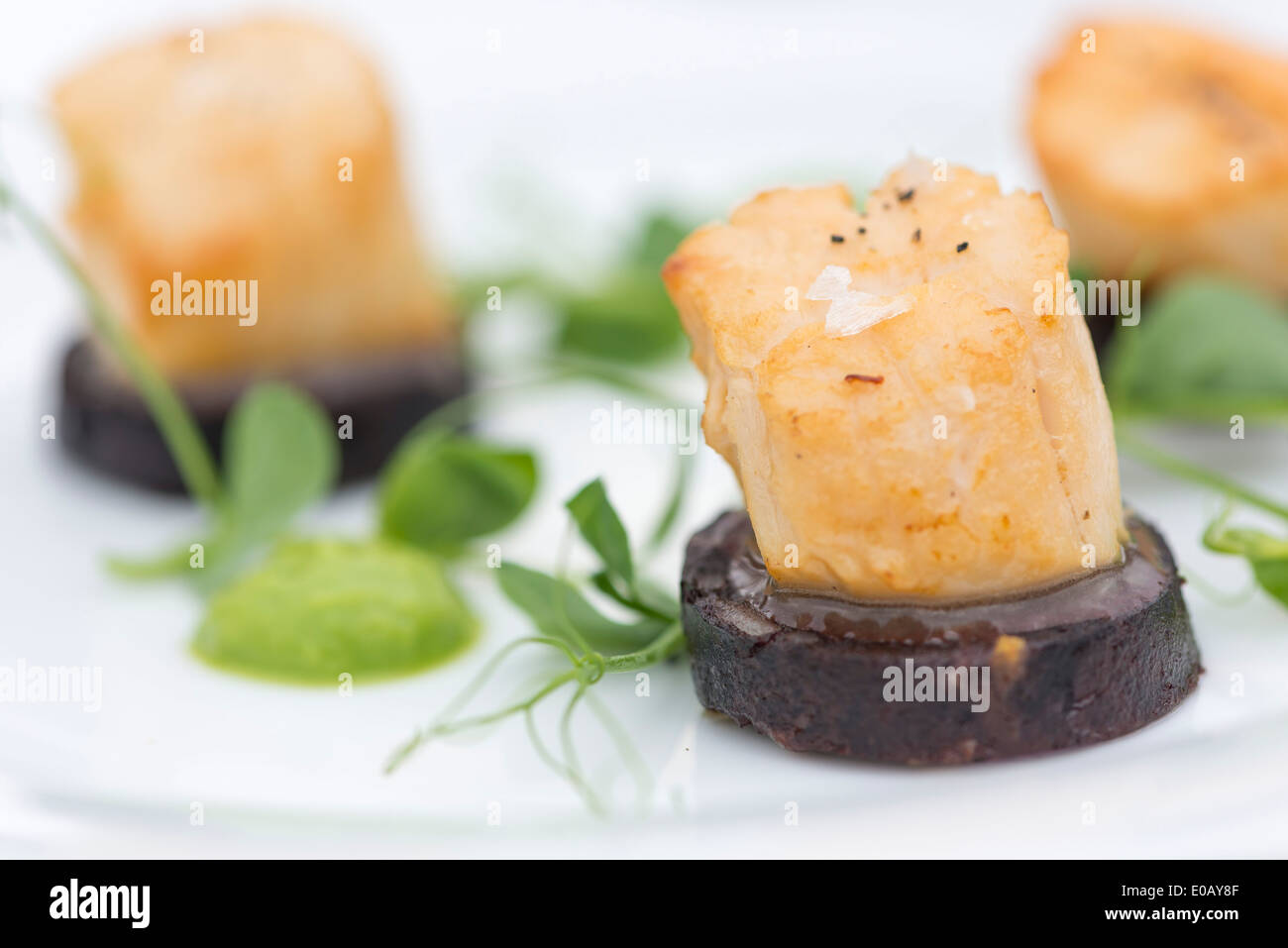 Pétoncles poêlés sur salade de boudin noir et les agneaux. Banque D'Images