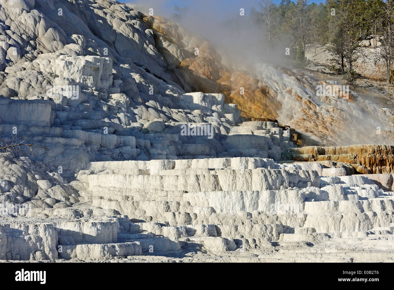 Printemps Palette, terrasses inférieures, Mammoth Hot Springs, parc national de Yellowstone, Wyoming, USA Banque D'Images