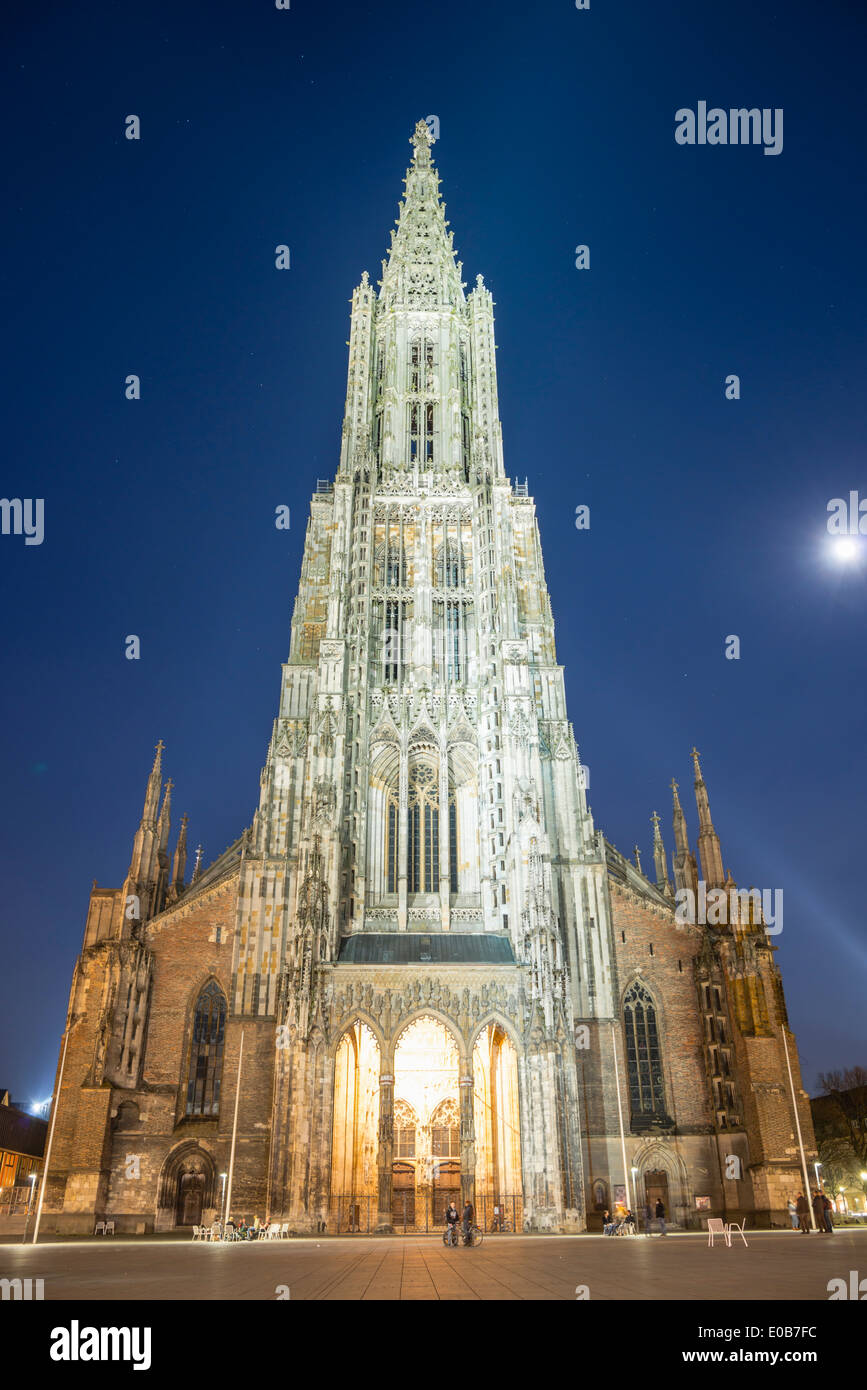 Allemagne, Ulm, vue d'Ulmer Münster église de nuit Banque D'Images