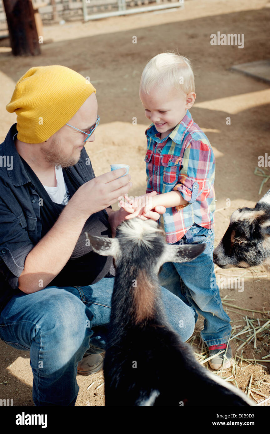 Père et fils feeding goat Banque D'Images