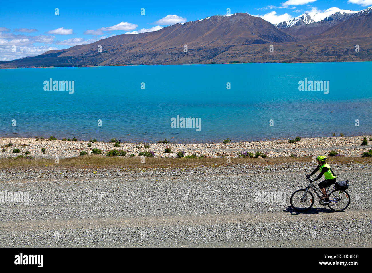 Cyclistes sur les rives du Lac Pukaki, école des Alpes 2 piste cyclable de l'Océan Banque D'Images
