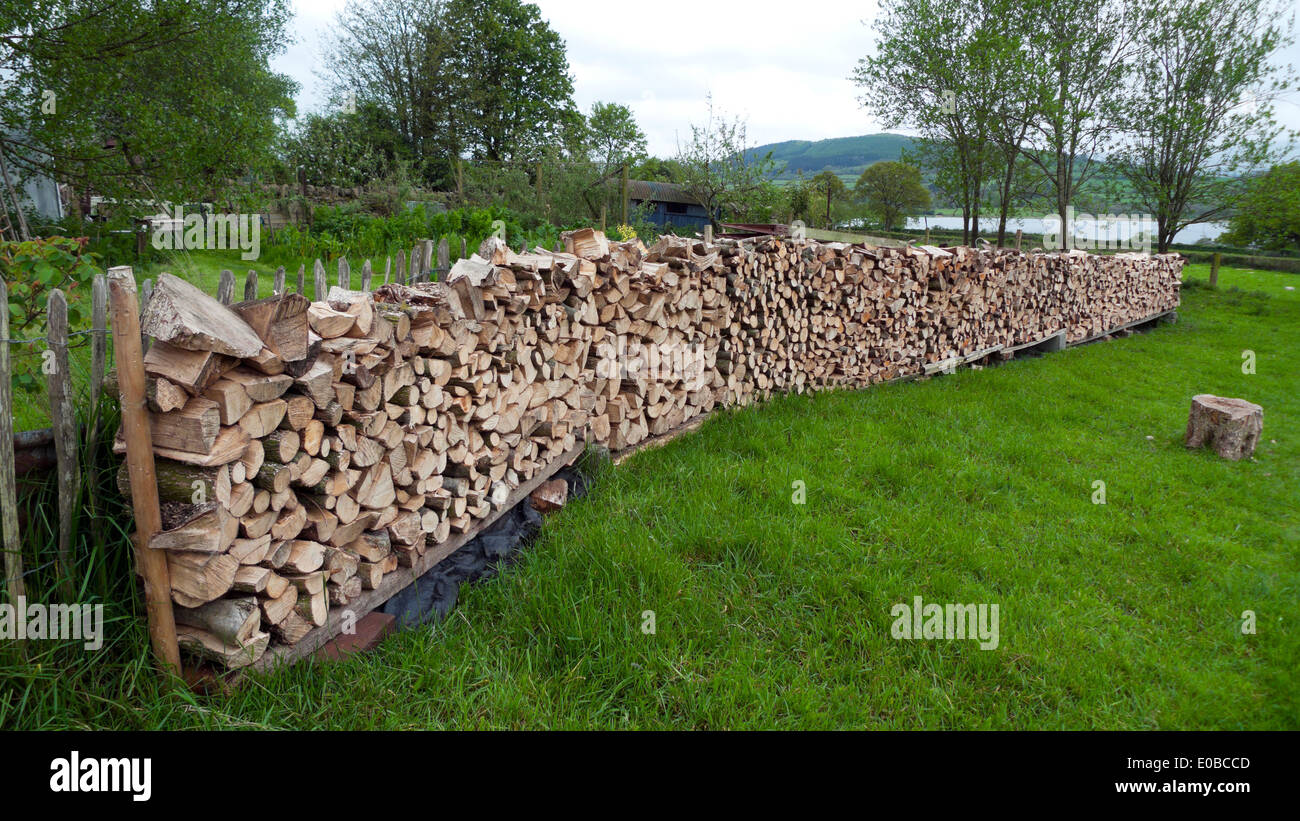 Une pile de bûches de bois de chauffage hachées pour une utilisation dans un combustible de poêle à bois dans le jardin sur une petite exploitation dans Powys Wales Royaume-Uni Grande-Bretagne KATHY DEWITT Banque D'Images