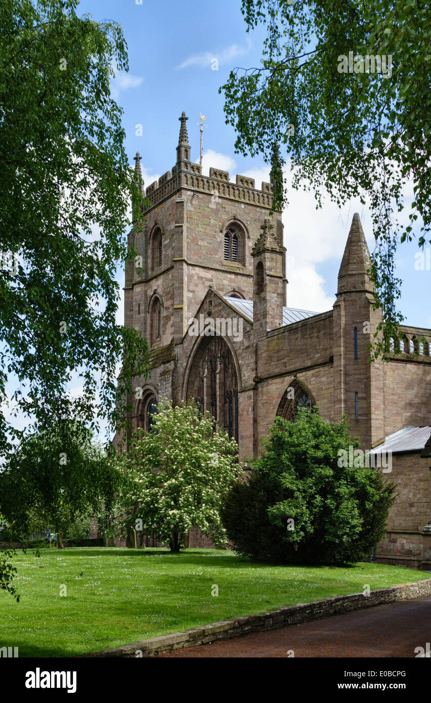 L'église du prieuré de St Pierre et St Paul, Leominster, Herefordshire, UK, construit au 13c. Banque D'Images