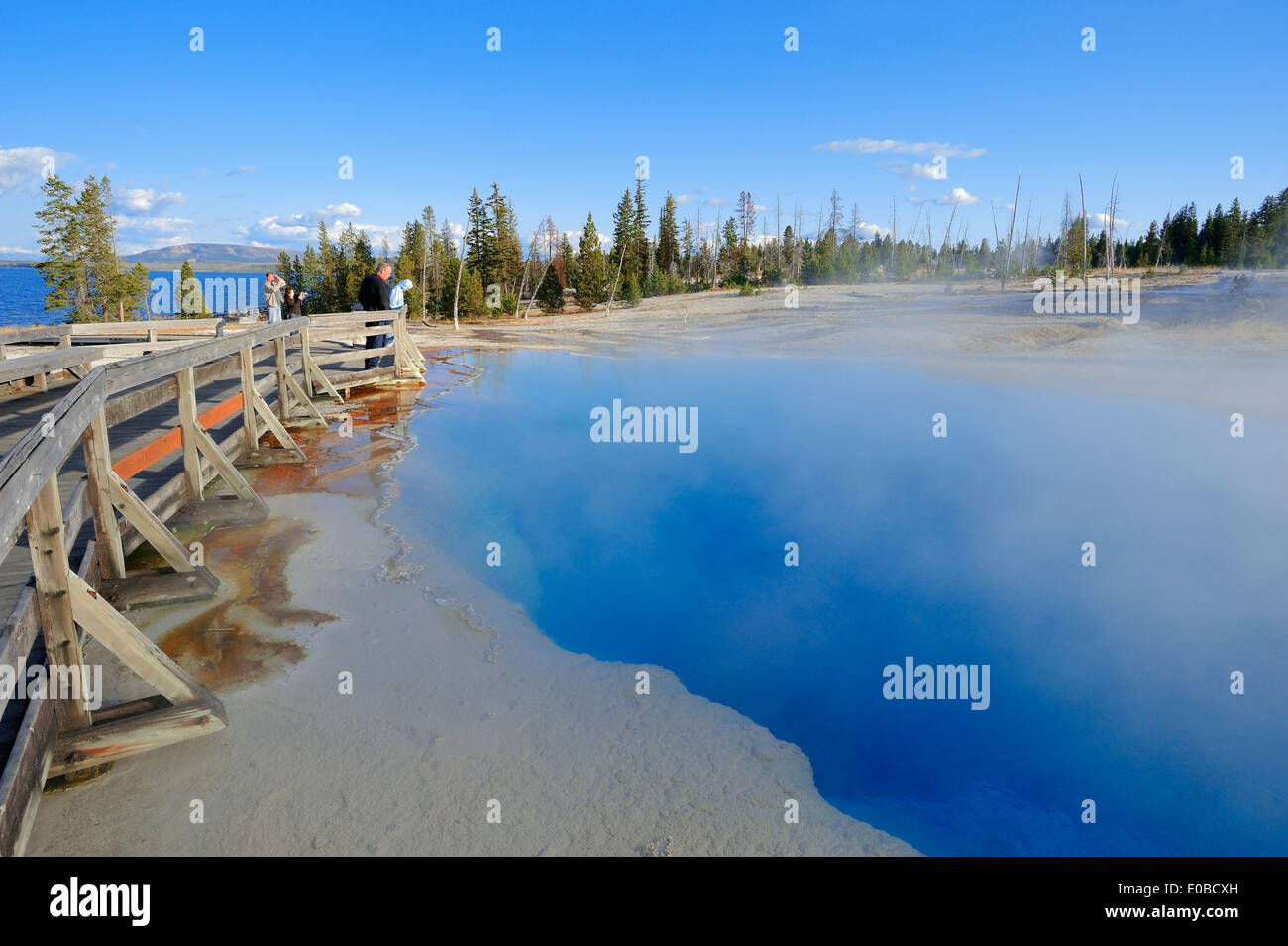 Black Pool, West Thumb Geyser Basin, parc national de Yellowstone, Wyoming, USA Banque D'Images