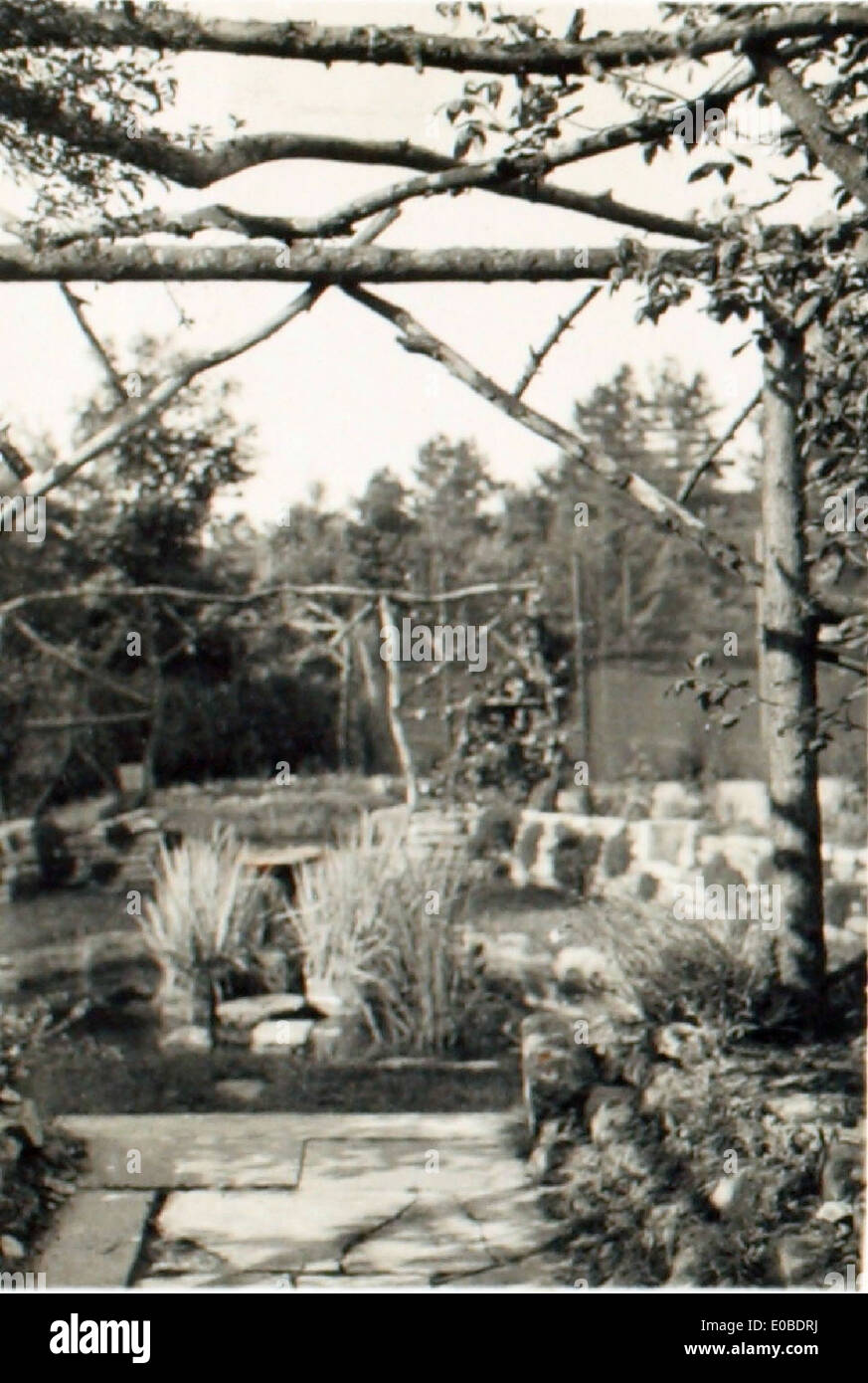 La photographie d'Edwin Newman capture des avions de la RAF au moyen-Orient, peut-être en Irak ou en Égypte, sous les arches d'une structure historique. Cette image donne un aperçu des opérations de la RAF au milieu du XXe siècle dans la région. Banque D'Images