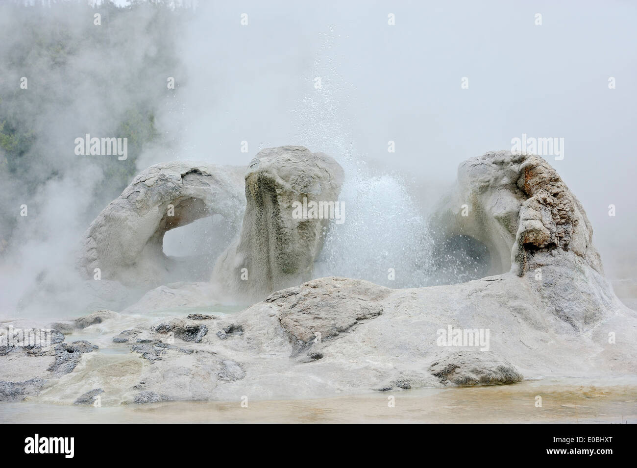 Grotto Geyser, Upper Geyser Basin, parc national de Yellowstone, Wyoming, USA Banque D'Images