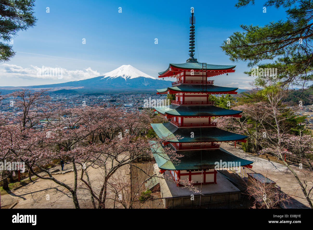 Chureito pagoda de fleurs de cerisiers et le Mont Fuji en arrière-plan, Fujiyoshida, préfecture de Yamanashi, Japon Banque D'Images
