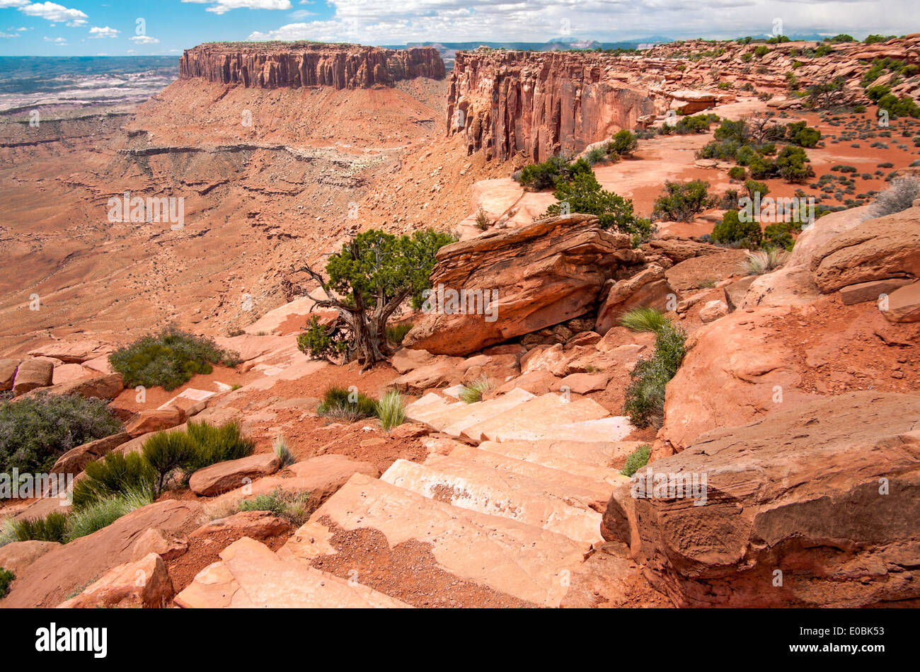 Sentier de randonnée Canyon Rim Banque D'Images