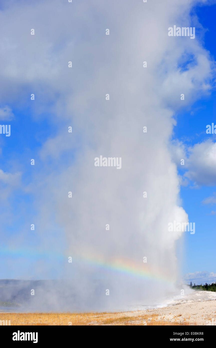 Old Faithful Geyser avec rainbow, Upper Geyser Basin, parc national de Yellowstone, Wyoming, USA Banque D'Images