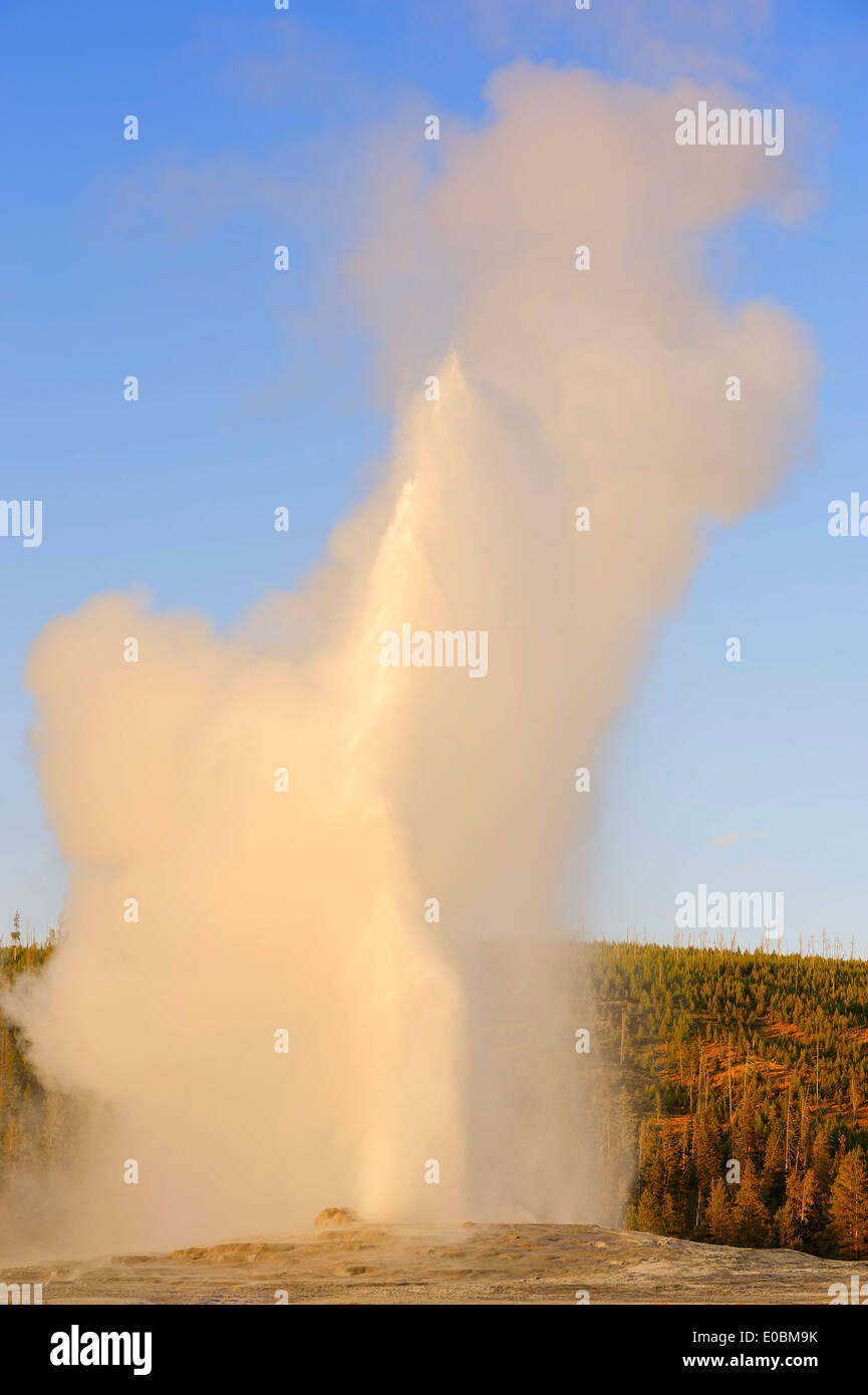 Old Faithful Geyser, Upper Geyser Basin, parc national de Yellowstone, Wyoming, USA Banque D'Images