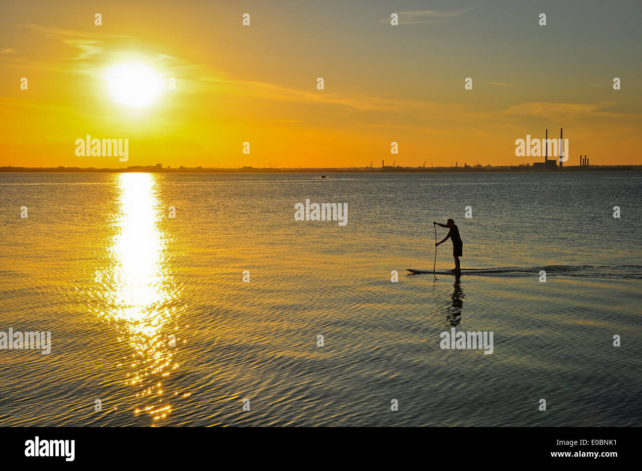 Paddleboarder sur la baie de Dublin au coucher du soleil Banque D'Images