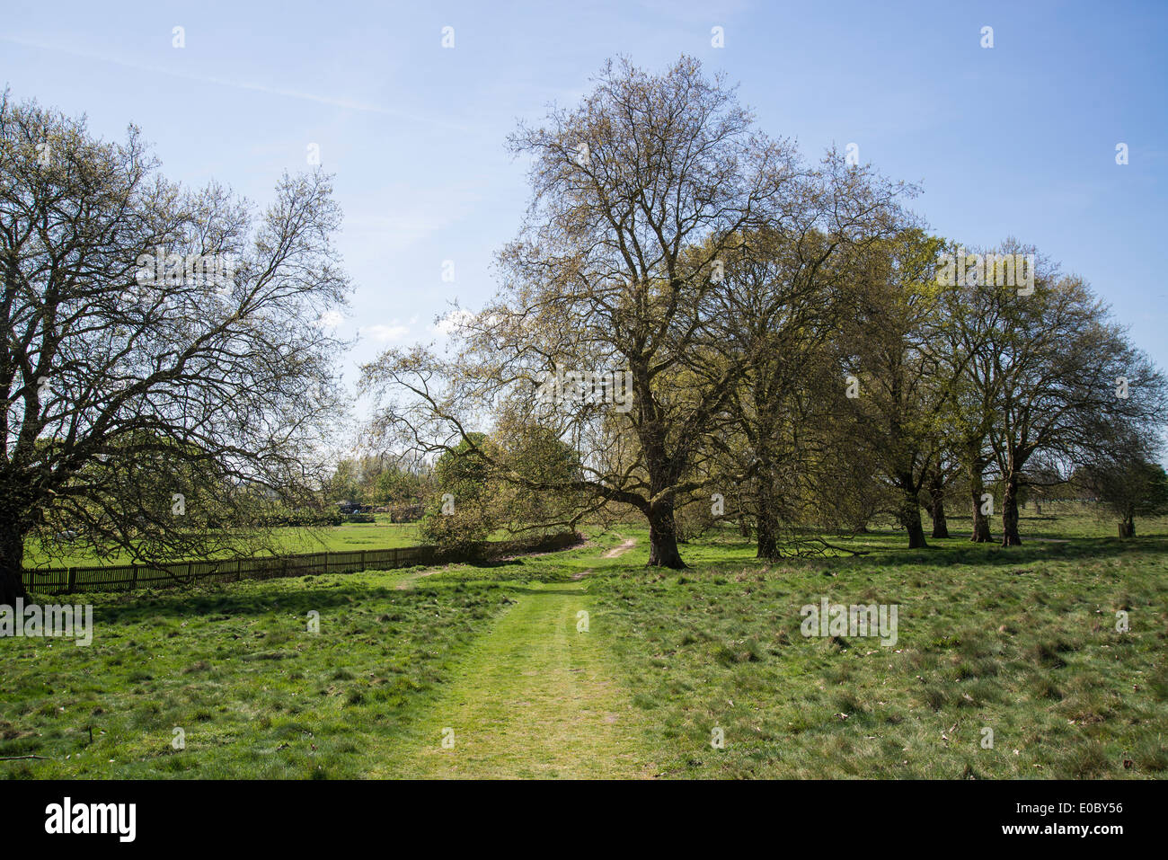 Home Park, Surrey, England, UK Banque D'Images