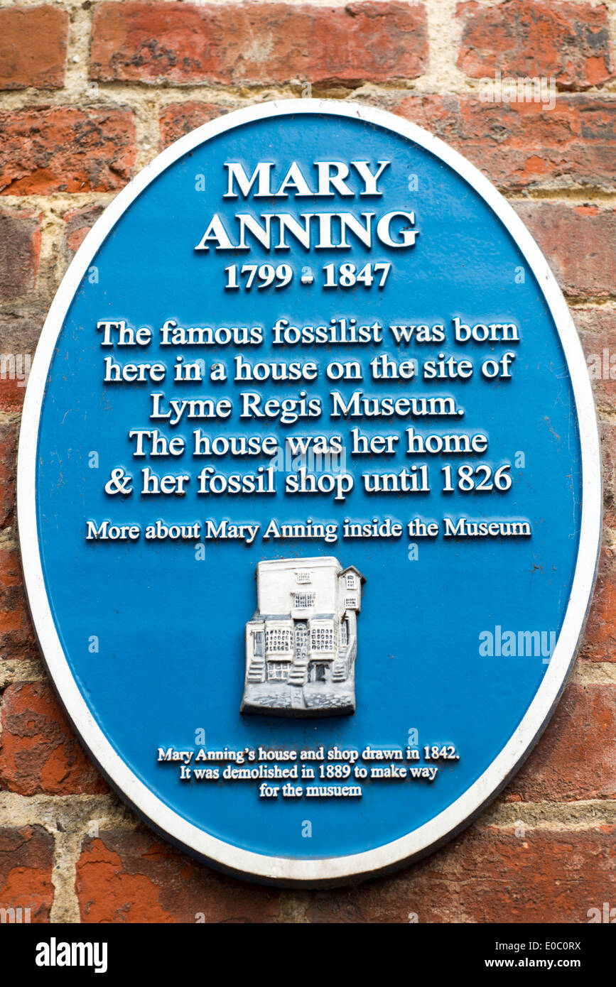 Blue plaque à l'extérieur, Lyme Regis dans le Dorset musée dédié à célèbre fossilist et paléontologue Mary Anning. Banque D'Images