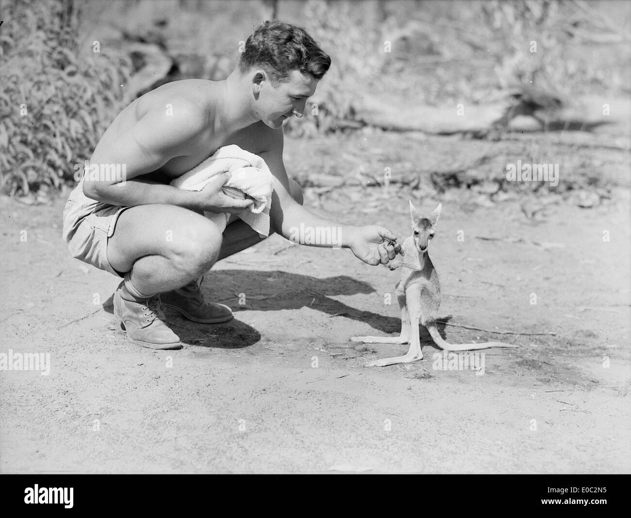 Un soldat américain avec un joey, 1942 Banque D'Images