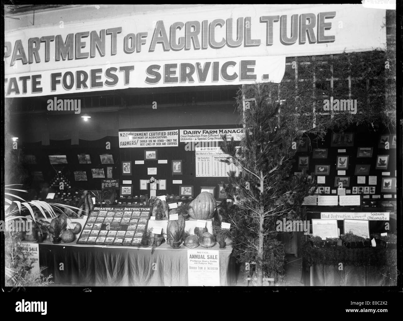 Cette image montre un stand dans une foire commerciale, faisant la publicité de produits agricoles et des cours dispensés par le ministère de l'Agriculture et des forêts d'État, soulignant leur rôle dans la promotion des industries rurales. Banque D'Images