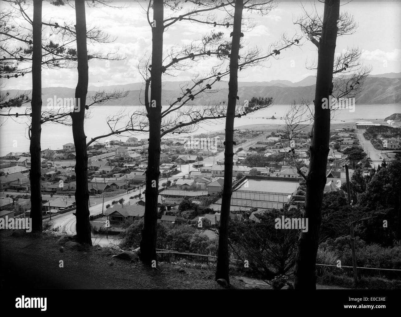 Regardant à travers les pins, sur la banlieue de Seatoun, Wellington, 1938-9 Banque D'Images