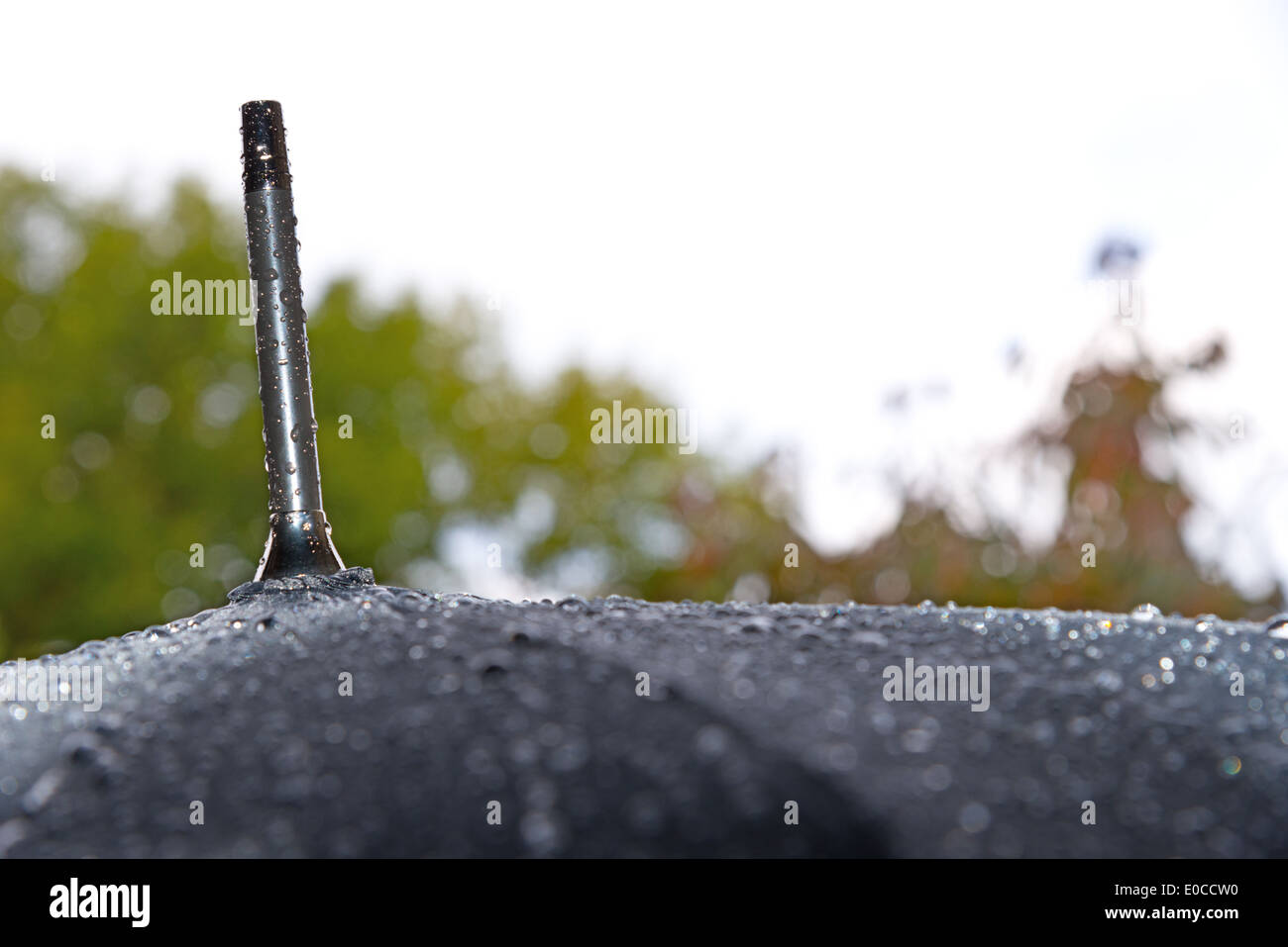 Un détail de parapluie noir sous la pluie Banque D'Images