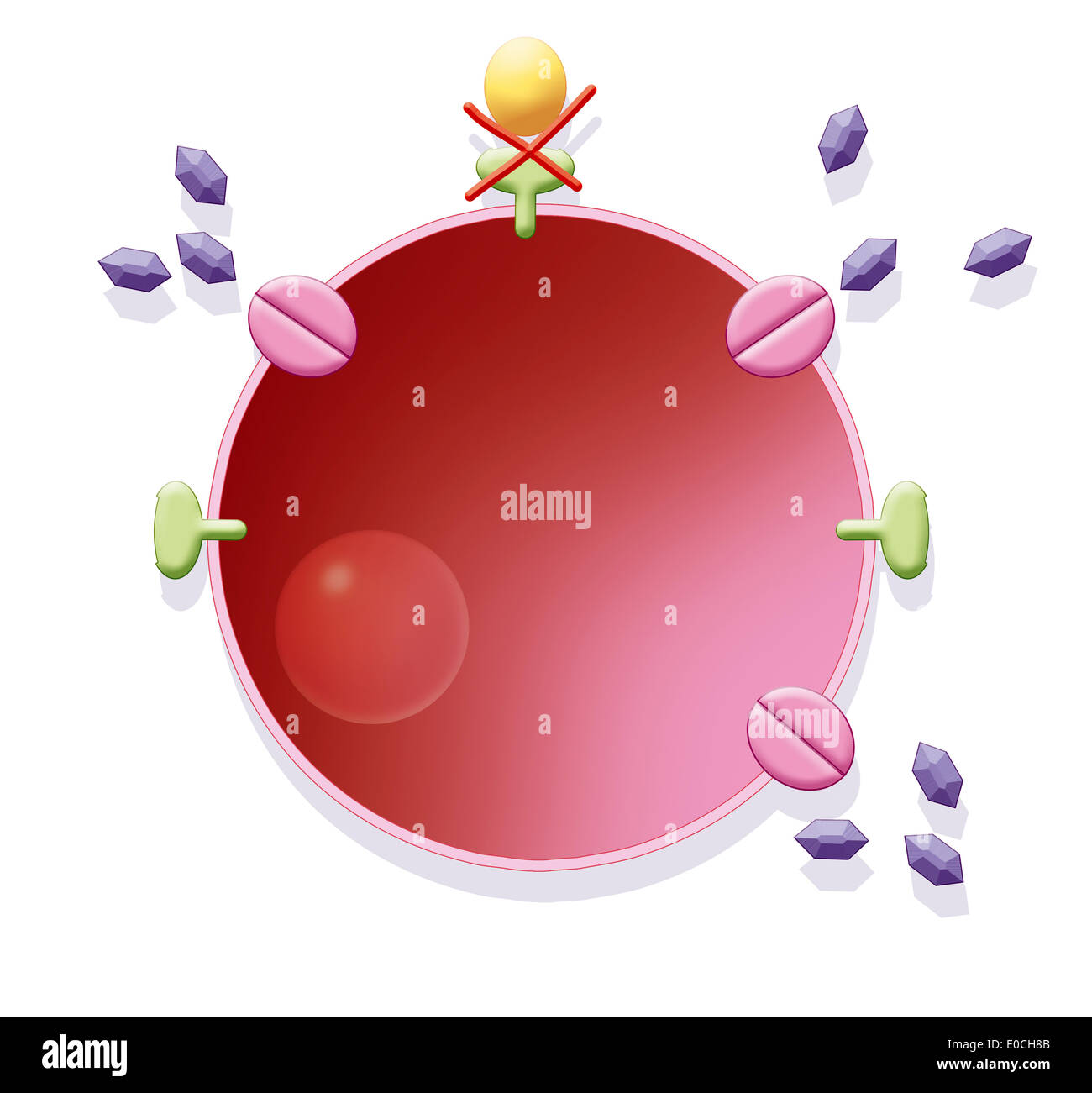 Le diabète, l'encombrement Banque D'Images