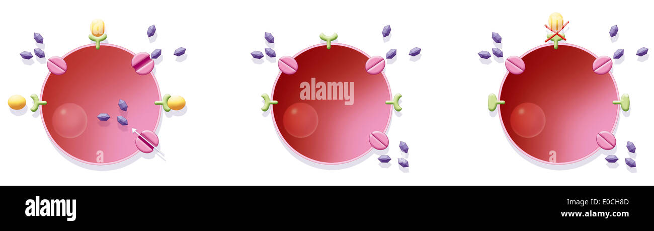 Le diabète, l'encombrement Banque D'Images