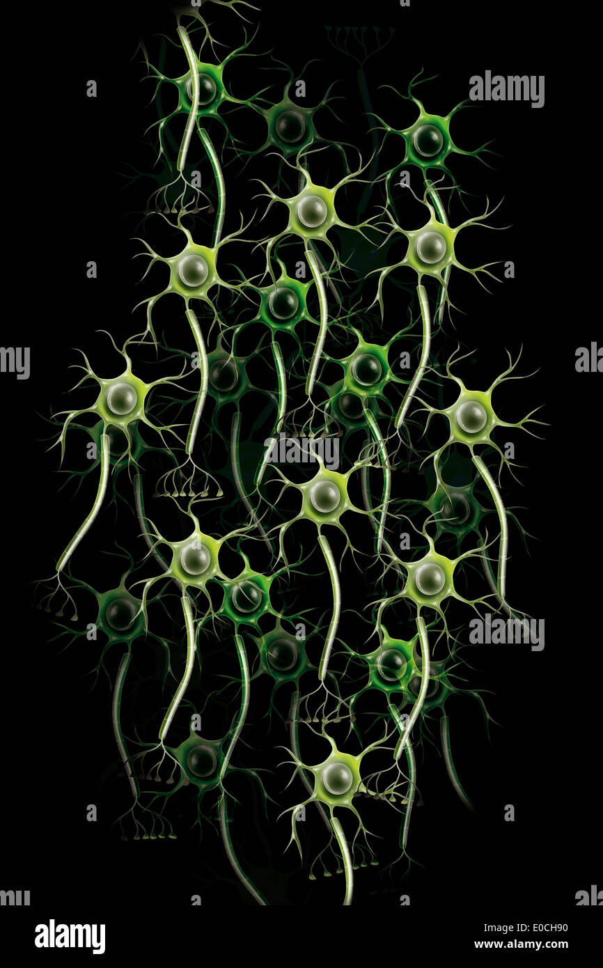 Neuron, dessin Banque D'Images