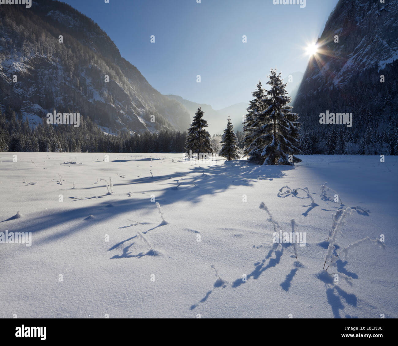 Paysage de neige au soleil, Gutenbrand, Rotmoos, Styrie, Autriche, Europe Banque D'Images