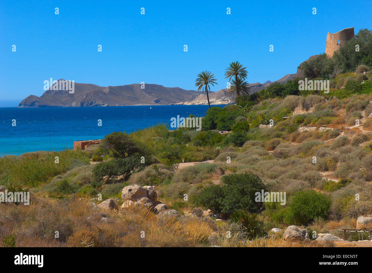 Cabo de Gata, Cala San Pedro, plage, la biosphère, le parc naturel de Cabo de Gata-Nijar, Almeria, Espagne, Europe. Banque D'Images