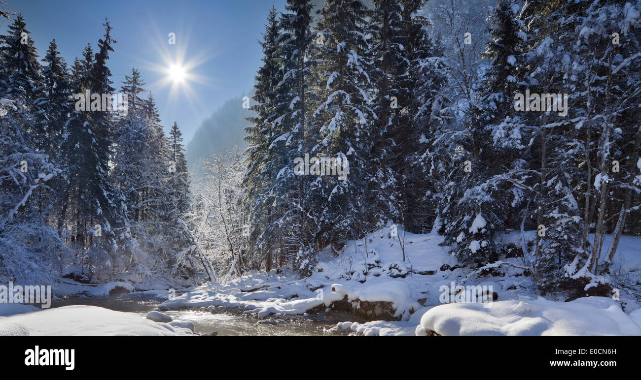 Radmerbach neigeux dans la lumière du soleil, flux, Ameiskogel Rotmoos, Styrie, Autriche, Europe Banque D'Images