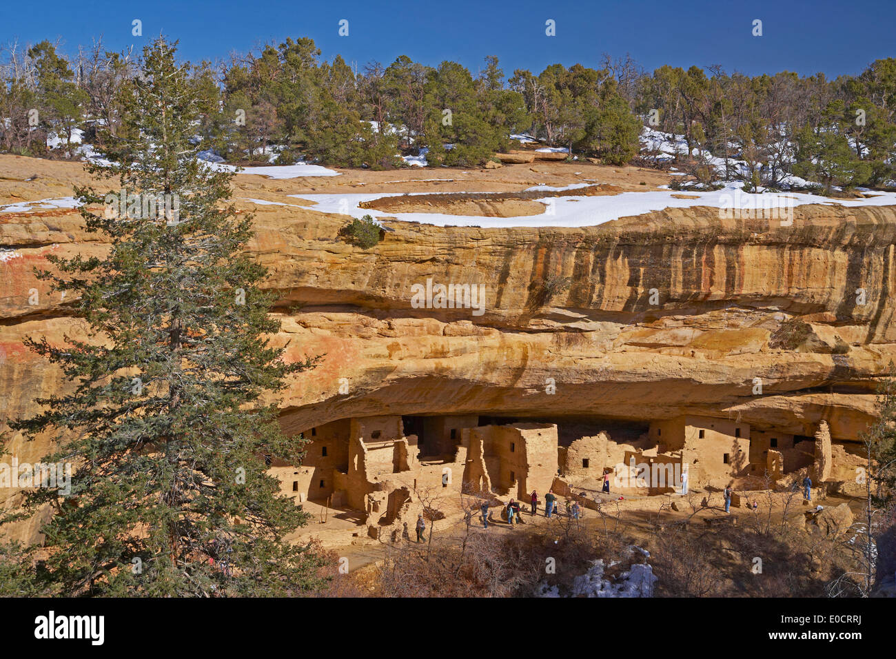 Cliff dwellings à Mesa Verde National Park, Colorado, USA, Amérique Latine Banque D'Images