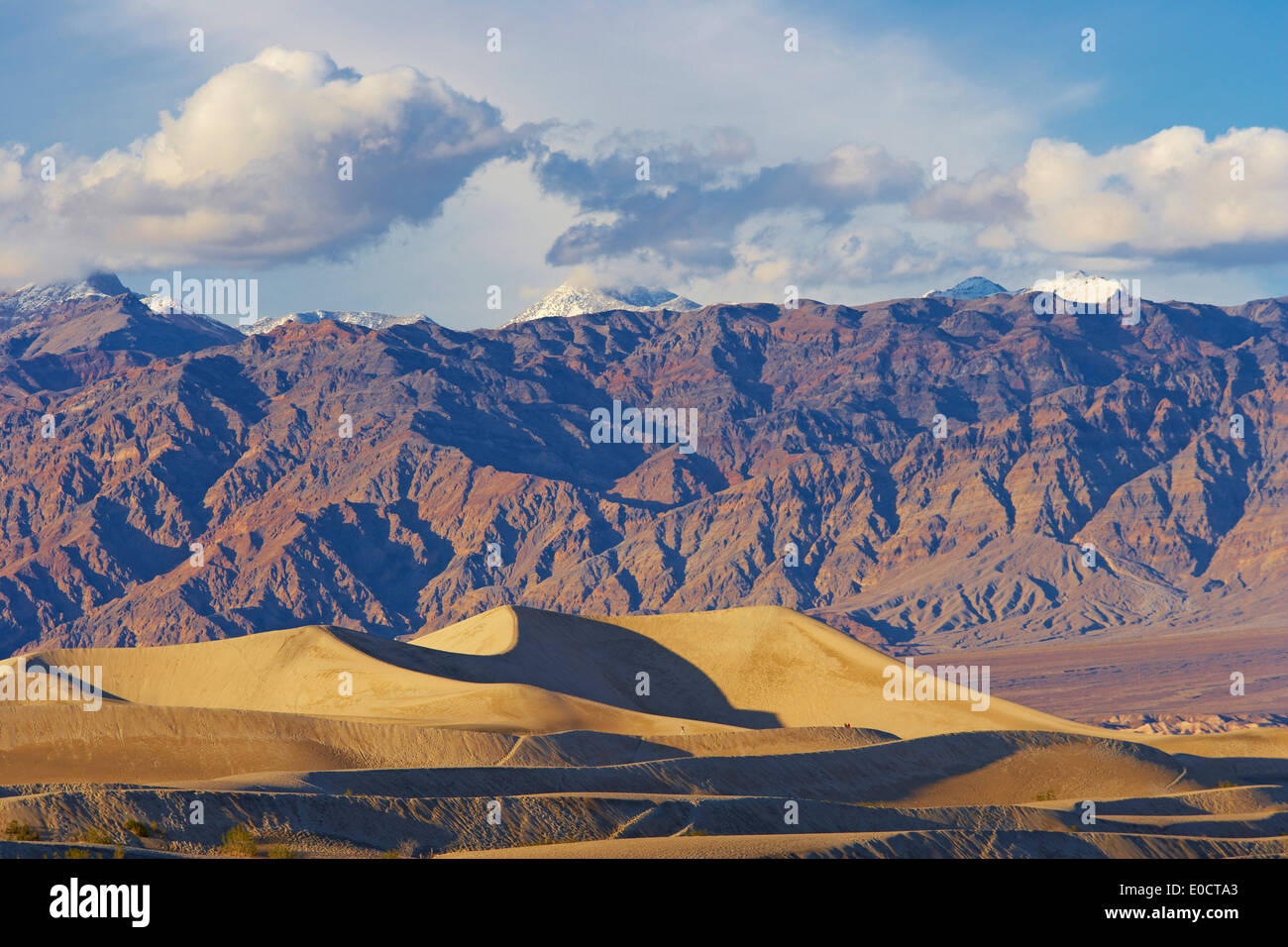 Vue sur Mesquite Flat dunes de sable sur Amargosa range dans la soirée, la Death Valley National Park, California, USA, Amérique Latine Banque D'Images