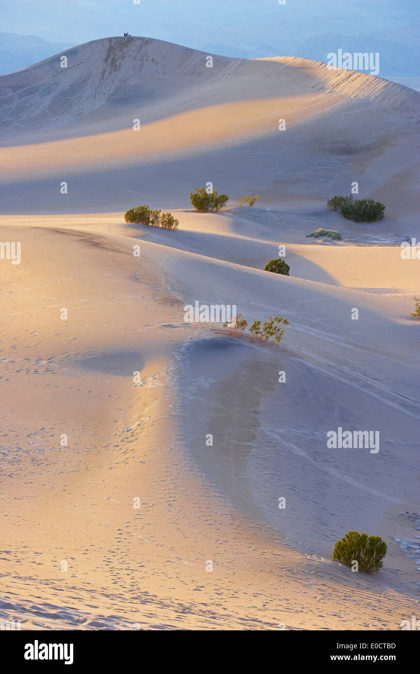 Avis de Mesquite Flat dunes de sable dans la soirée, la Death Valley National Park, California, USA, Amérique Latine Banque D'Images