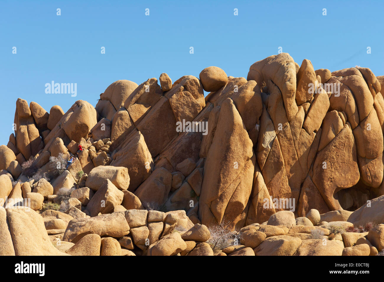 Des pierres à Jumbo Joshua Tree National Park, désert de Mojave, formation en pierre, California, USA, Amérique Latine Banque D'Images