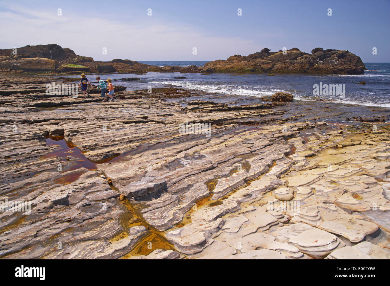 Côte Rocheuse dans la lumière du soleil, Point Lobos State Reserve, l'autoroute 1, en Californie, USA, Amérique Latine Banque D'Images