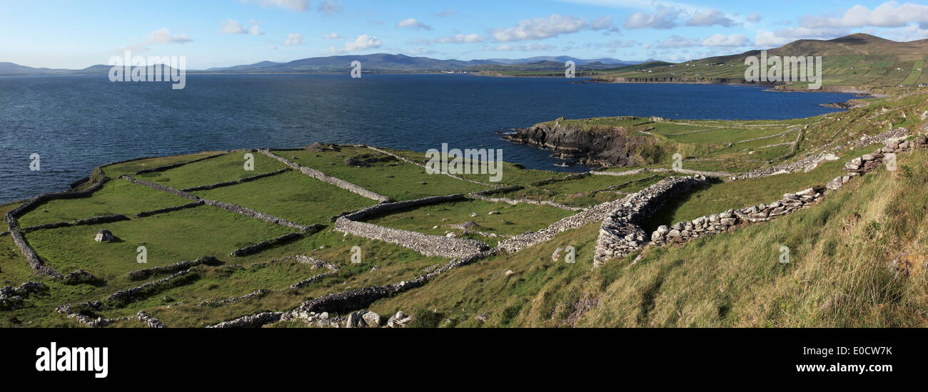 Les terres agricoles et les champs divisés par des clôtures en pierre sur une colline, près de Waterville ; County Kerry, Ireland Banque D'Images