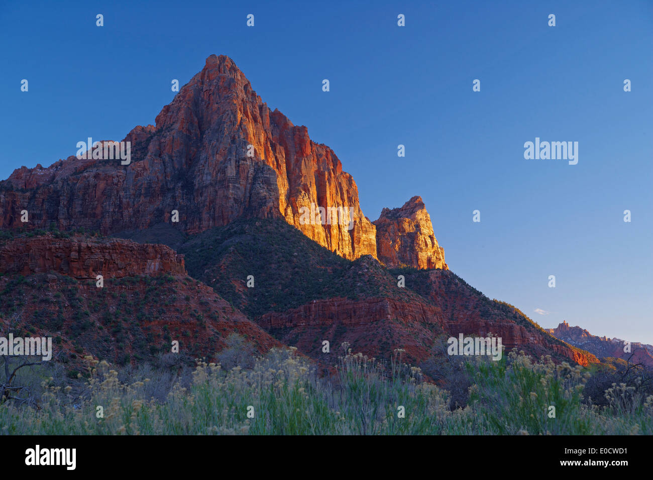 Soleil du soir sur la sentinelle, Zion National Park, Utah, USA, Amérique Latine Banque D'Images