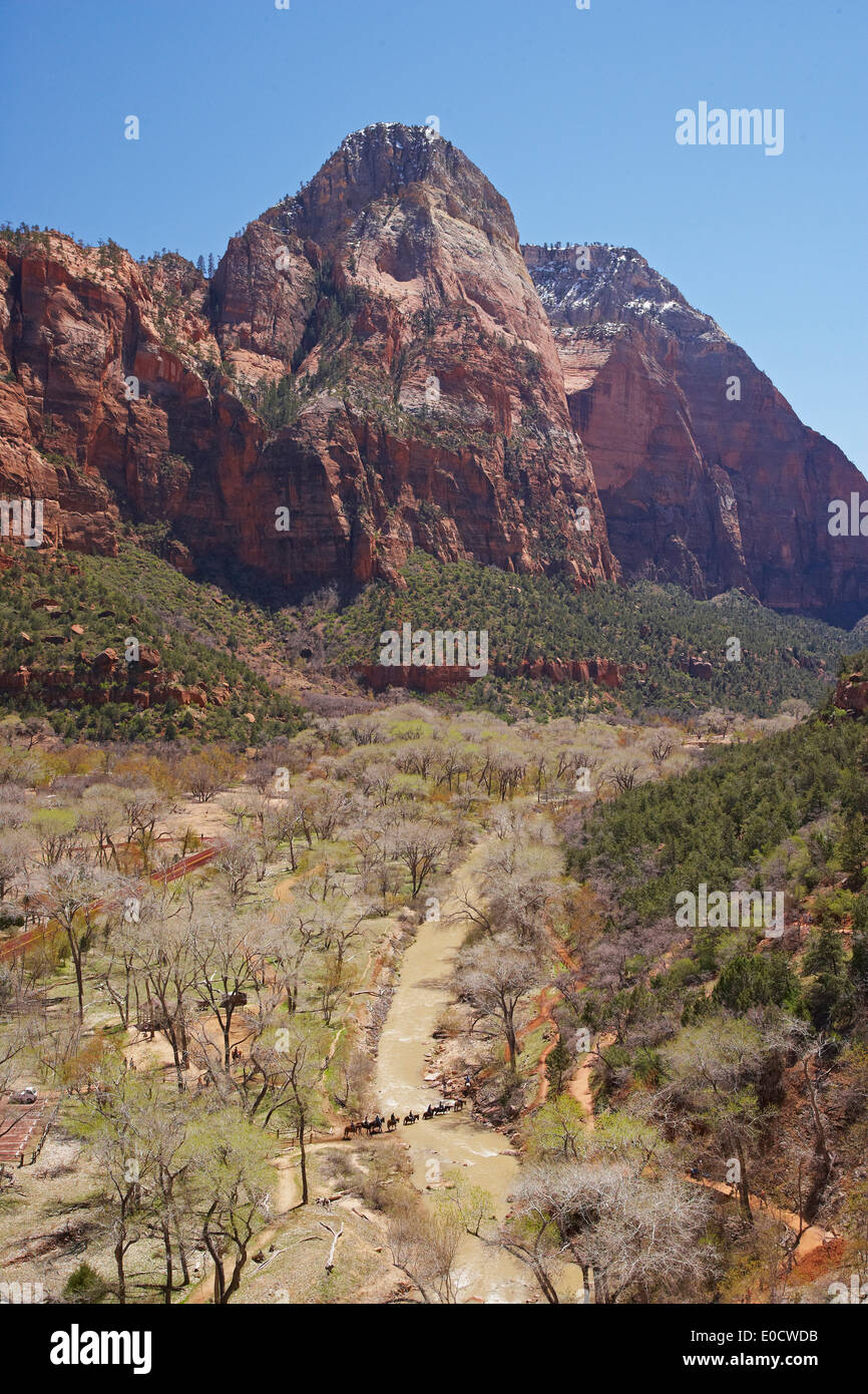 Virgin River Crossing Riders dans Zion Canyon, Zion National Park, Utah, USA, Amérique Latine Banque D'Images