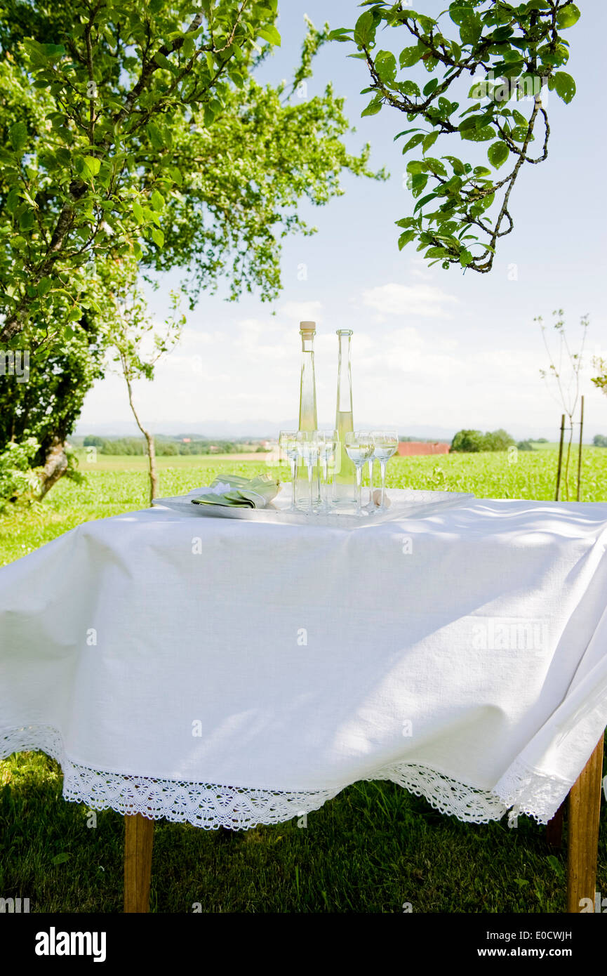 Homemade liqueur, sirop sur une table dans le jardin, faits maison, Bavière, Allemagne Banque D'Images