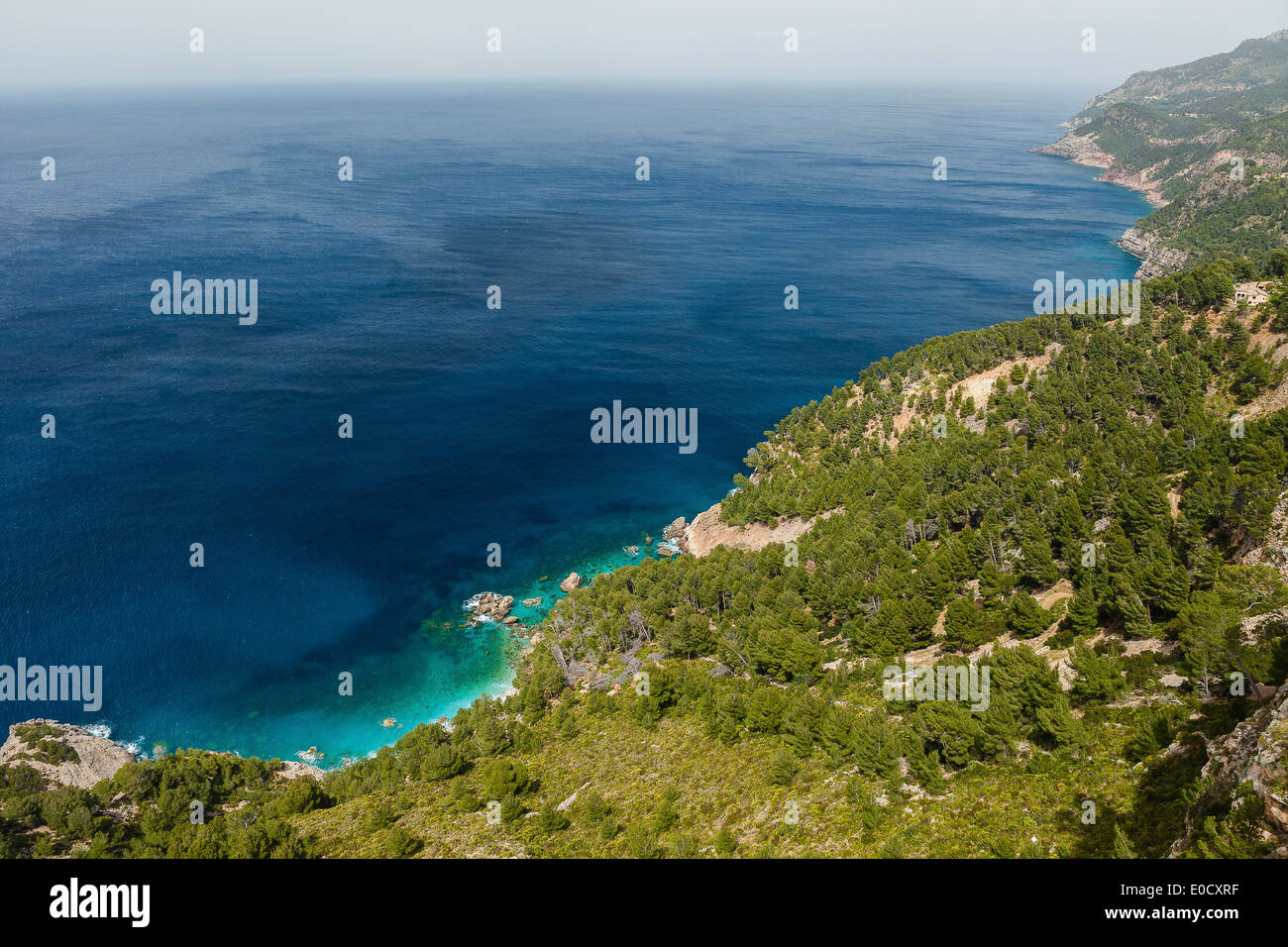 La côte boisée à Mer Méditerranée, Leganés, Mallorca, Espagne Banque D'Images