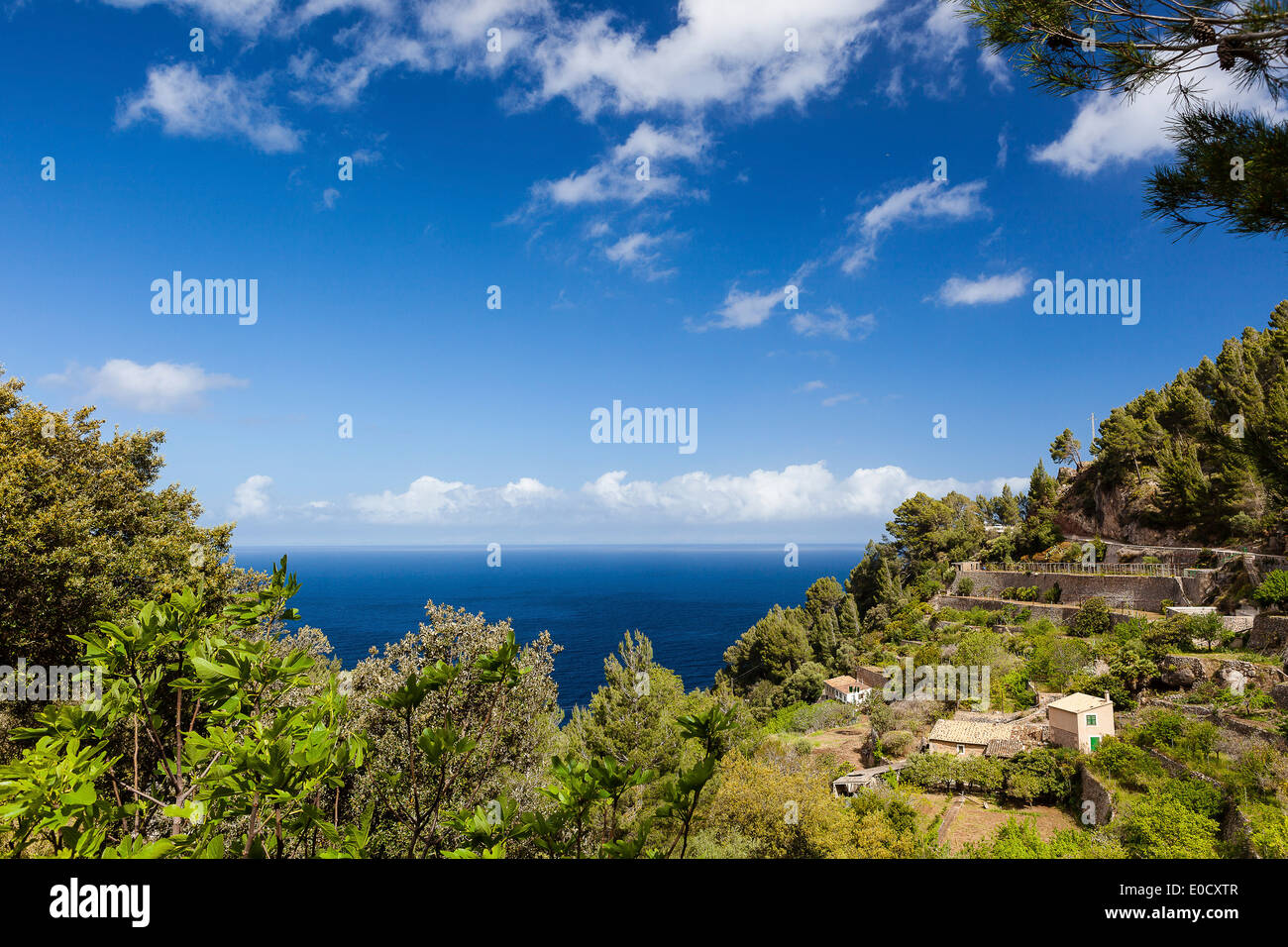 Route de la côte méditerranéenne, avec la superficie en terrasses, Banyalbufar, Mallorca, Espagne Banque D'Images