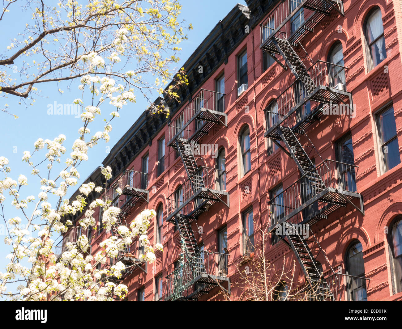 La façade de l'immeuble et les arbres en fleurs au printemps, Nolita, NYC, USA Banque D'Images