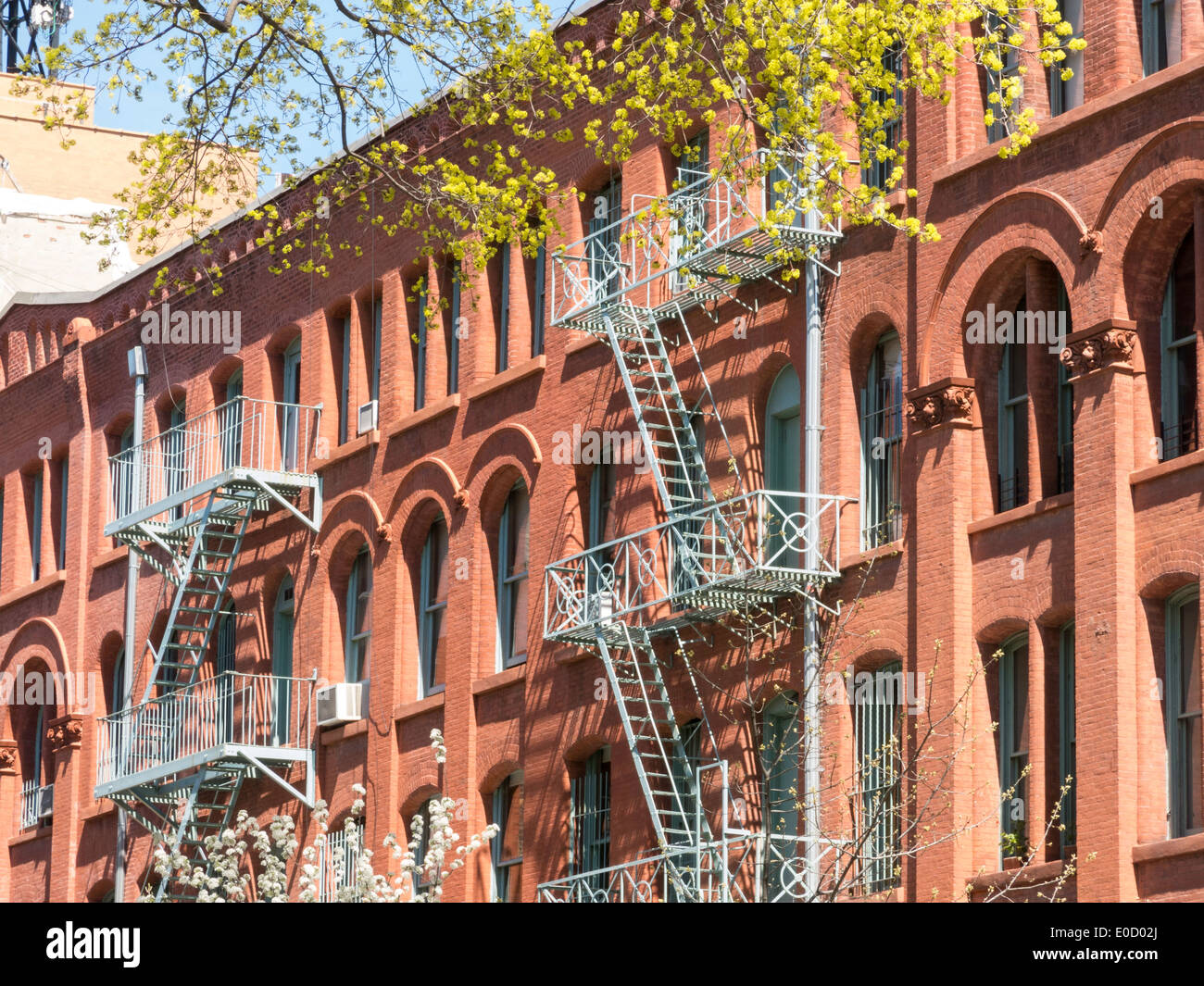 La façade de l'immeuble et les arbres en fleurs au printemps, Nolita, NYC, USA Banque D'Images