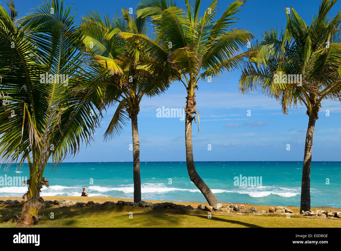 Woman meditating on shore de l'océan Atlantique à Varadero beach resort Cuba avec des palmiers Banque D'Images