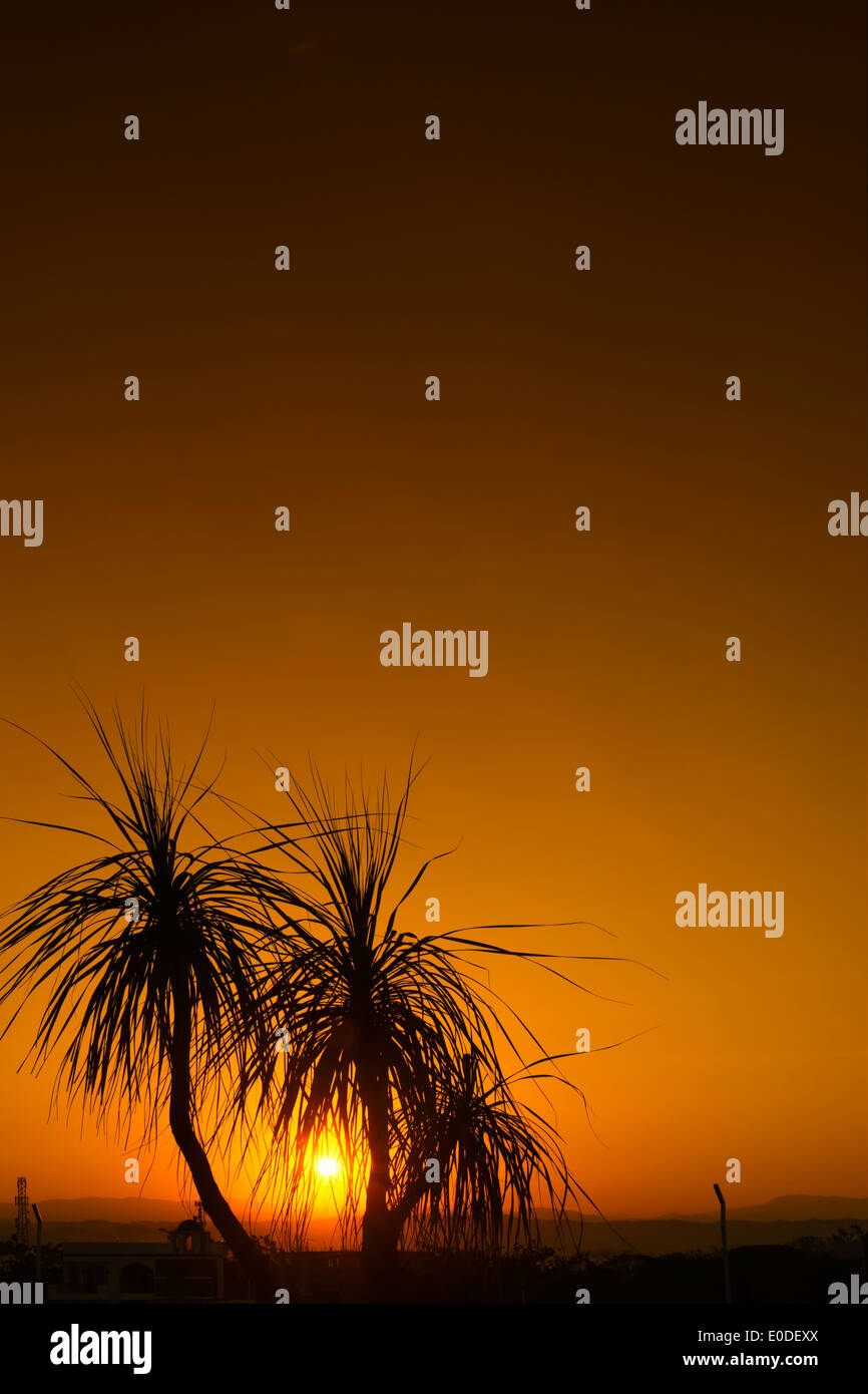 Lever du soleil dans un luxueux hôtel de villégiature. Philippines Banque D'Images