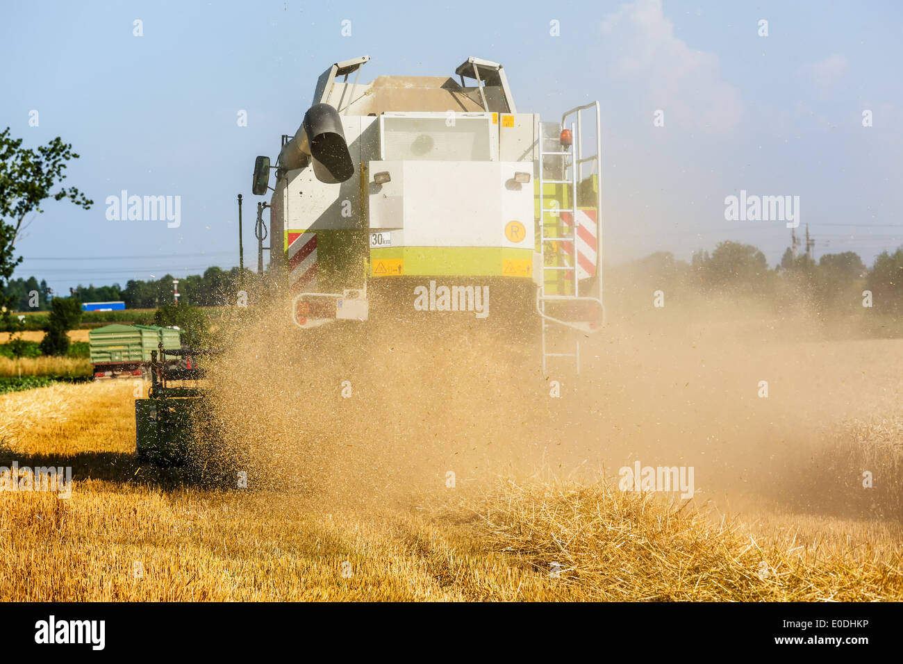 Un champ de céréales avec du blé à la récolte. Une moissonneuse-batteuse au travail., Ein Getreidefeld mit Weizen bei der Ernte. Ein Maeh Banque D'Images