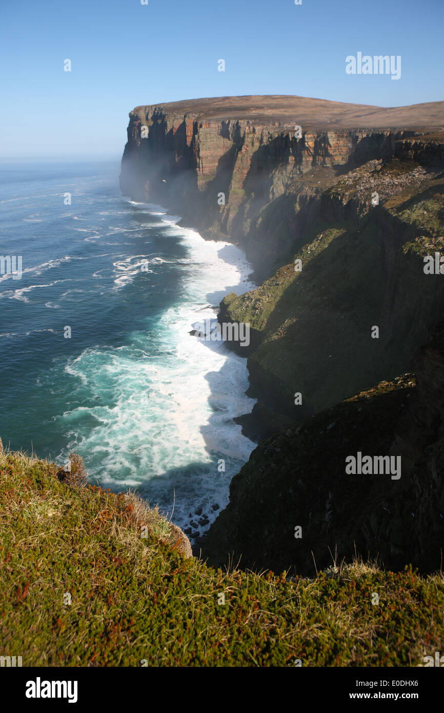 Littoral à St John's head, l'un des plus hauts de falaises verticales en Grande-Bretagne. Il est situé dans le Hoy à Orkney, Ecosse UK Banque D'Images