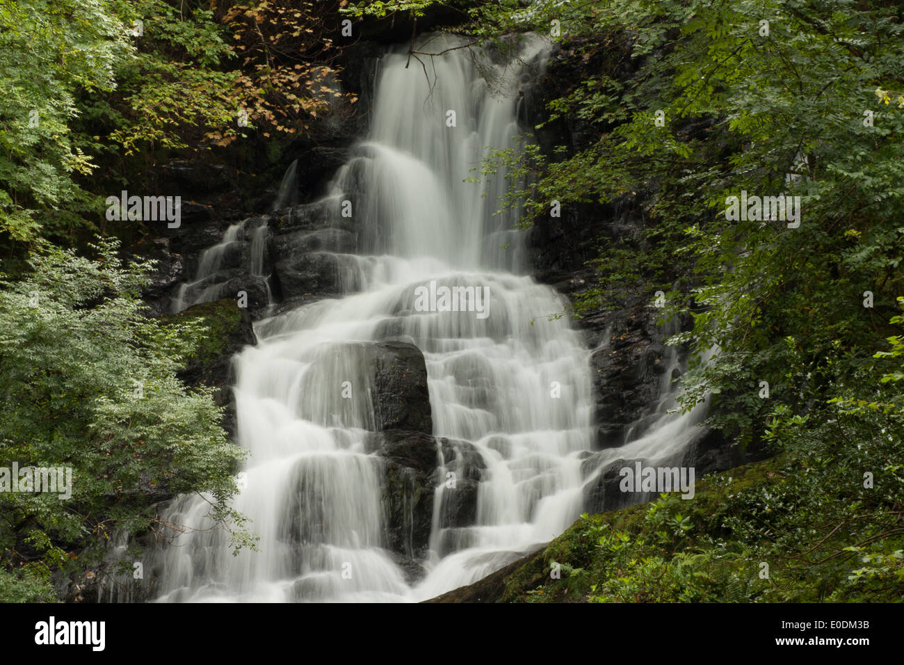 Une chute dans la région centrale de l'Irlande Banque D'Images