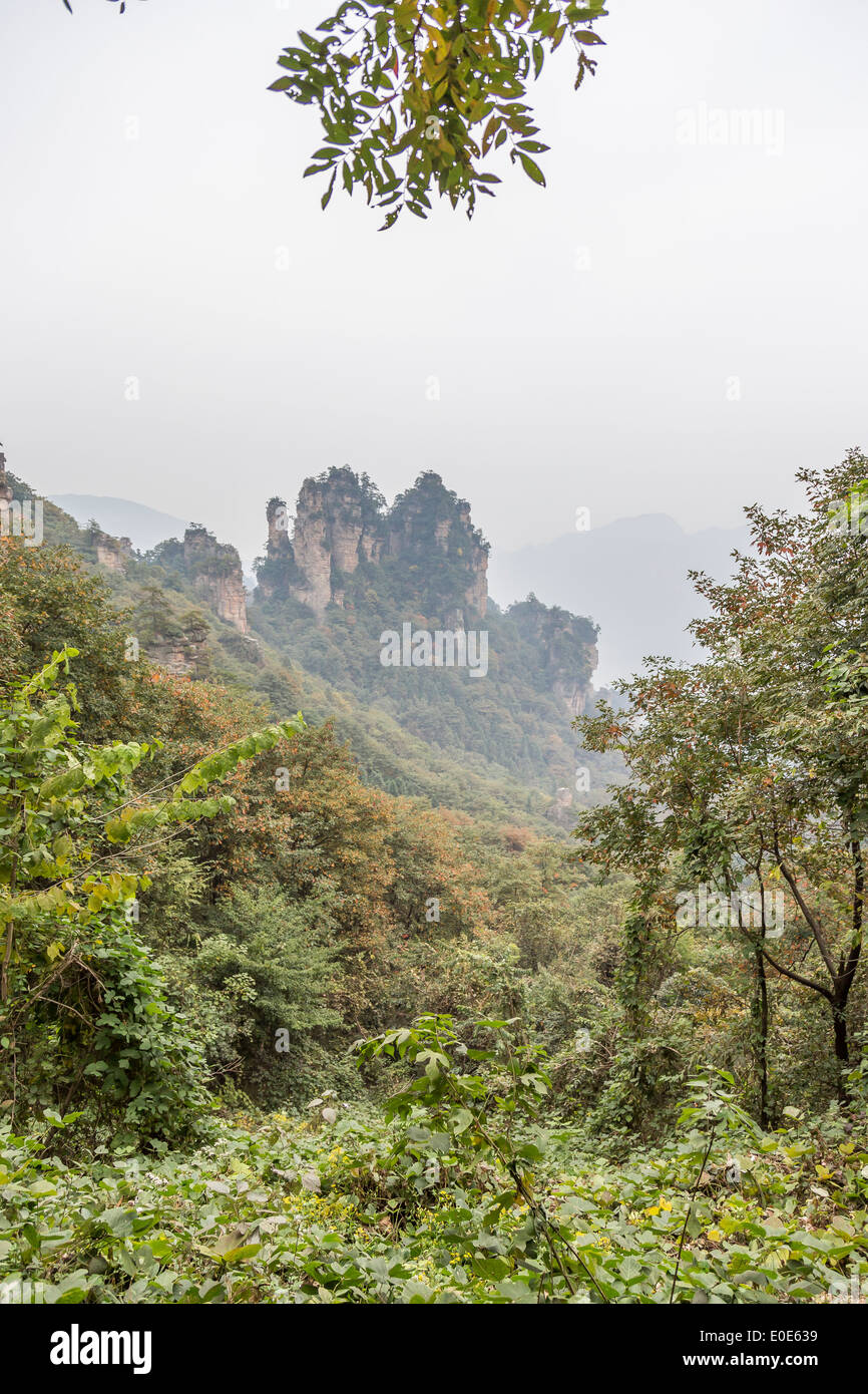 Parc forestier national de Zhangjiajie montagnes Avatar Banque D'Images