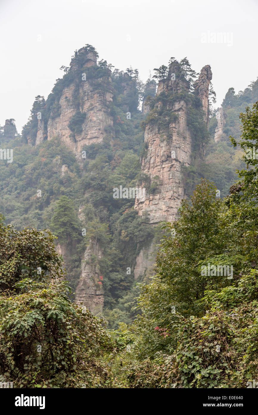 Parc forestier national de Zhangjiajie montagnes Avatar Banque D'Images