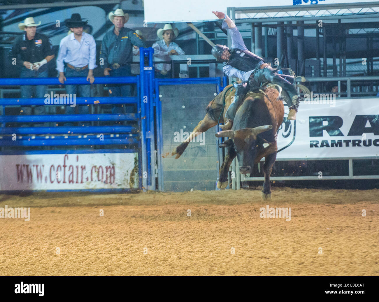 Participant à un cowboy bull riding compétition au Clark County Fair and Rodeo Nevada à Logandale Banque D'Images